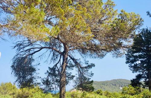 CASA RIBAS - Photo 12