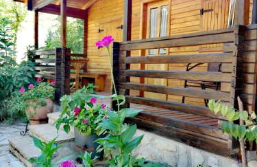 Cabañas los Pinos Arroyo Frio - Foto 69