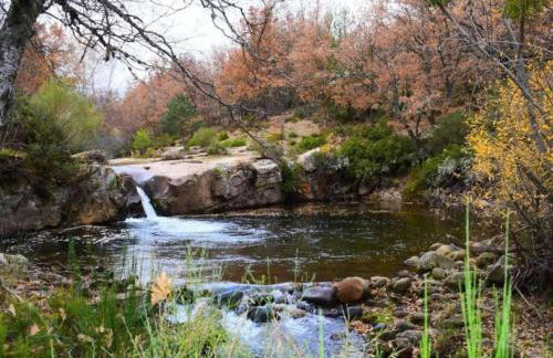 El Aterpe 5 - Foto 10