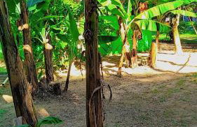 Parati Pousada kadoshi - Foto 37