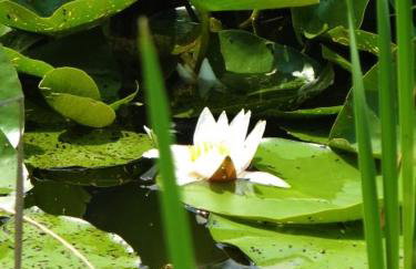 Agroturystyka Szafarnia 19 - Foto 17