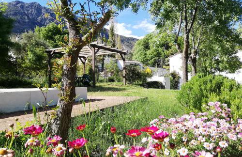 Casa Rural La Maquinilla - Foto 28