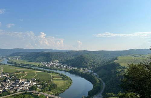 Ferienwohnung 'Moseltraum' - Foto 18