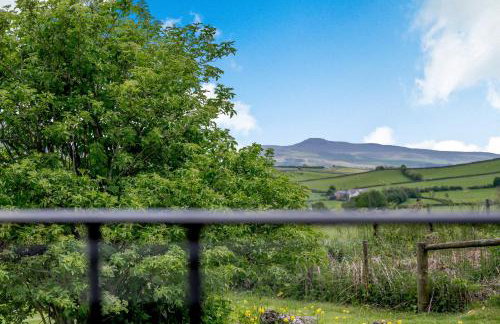 Pickle Barn - Foto 32