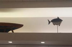 La Fernandina - Foto 13