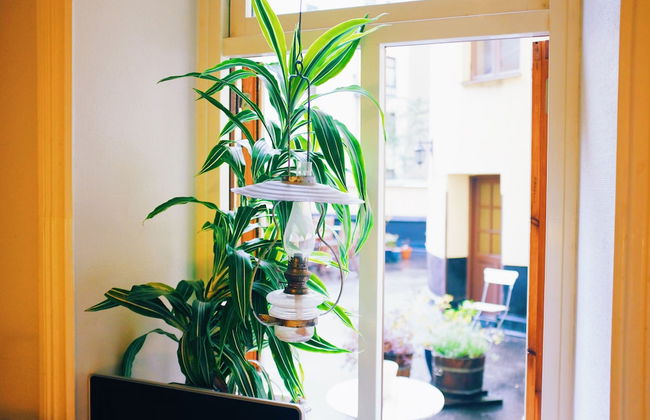 Beautiful, Artistic, Heirloom Apartment - Foto 19