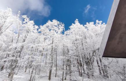 Attico Stella Alpina - Foto 28