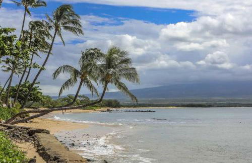 Island Sands 206 - Foto 39