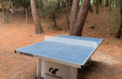 « La Palmeraie » Villa résidentielle avec piscine - Foto 12