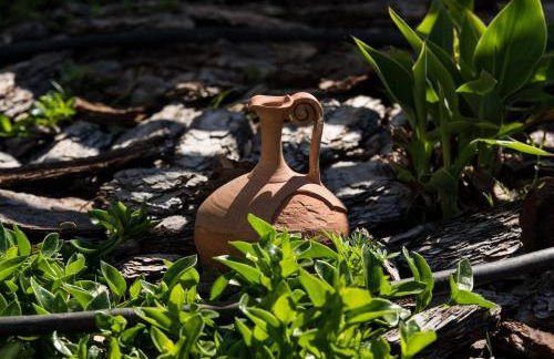 Olive Garden Villas and Apartments - Foto 61