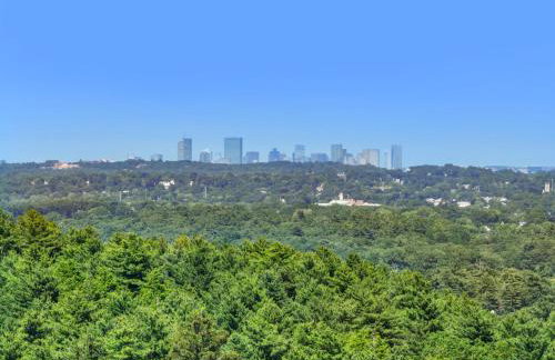 Lavish Boston Mansion for Short or Mid Term Stay - Foto 14