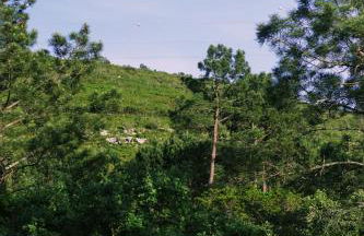 Casa Oliva - Casa da Serra - Foto 26