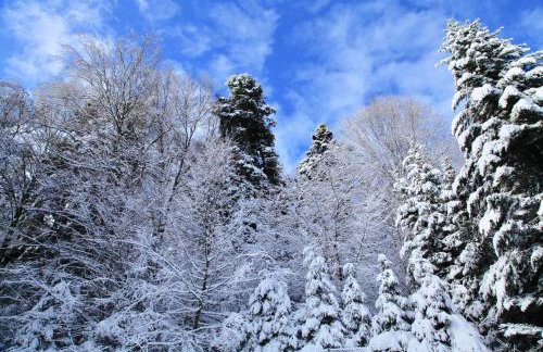 Komfortowy Dom w Chmurach - Foto 71