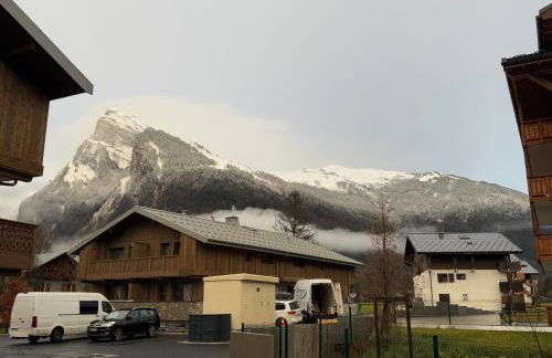 appartement chaleureux 60m2 neuf à proximité de tout, proche centre Samoëns - Foto 21