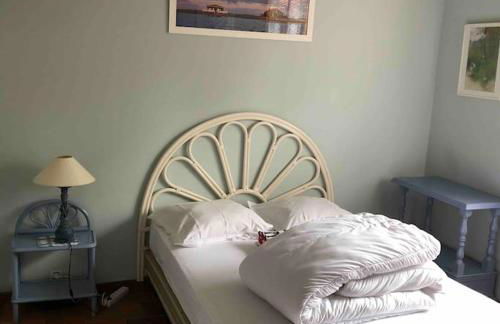 Villa CapFerret sous les pins,bassin et océan à pied - Foto 22