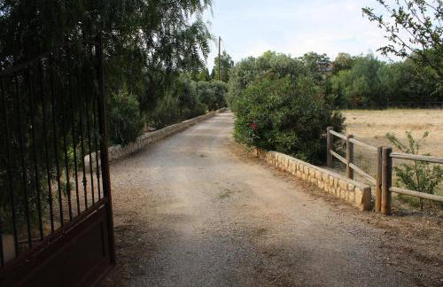 Mas de l'Olivier - Foto 2