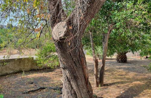 Stromboli Vacanze - Foto 76