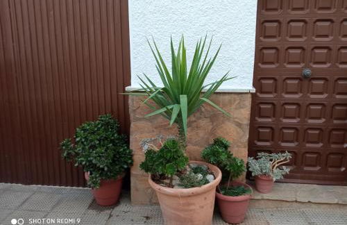 Apartamentos Virgen de Villaverde - Foto 54