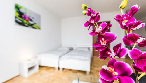 Work & Stay Apartment Monheim - Foto 4