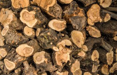 Traditional Luxury Villa ARMONIA - Foto 42