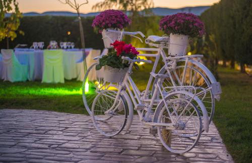 Terra Nostra Mansion Zakynthos - Foto 67