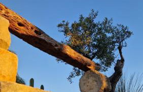 Villa Linda - Foto 7