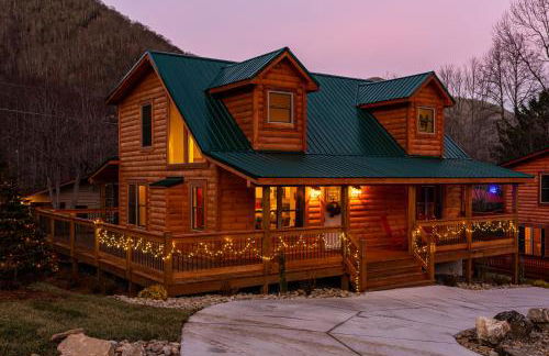 The Barn Owl - Foto 1