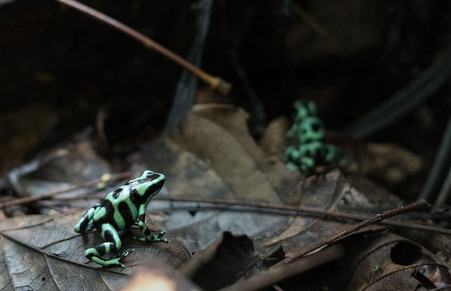 Cabañas del Rio - Foto 27