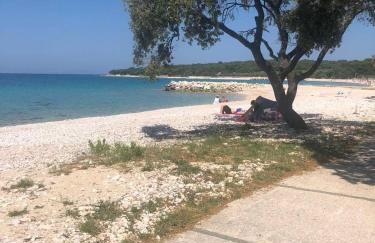 Apartment Gajac A7 44 - Photo 19