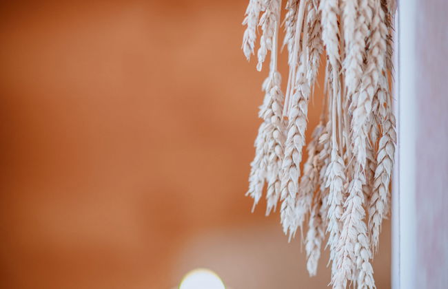 Simons Blockhütte - Foto 41