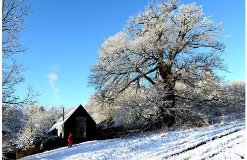 Croft Lodge Studio - Foto 34