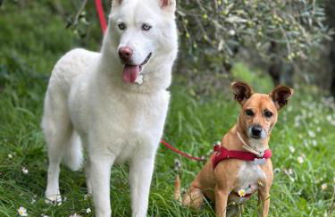 Case Vacanze Giovanni Garibaldi - Foto 69