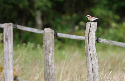 Une Maison de Campagne Atypique au Bord de L'eau - Foto 50