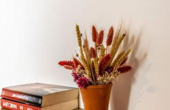 Villa Martha - Appt 02 - Foto 17