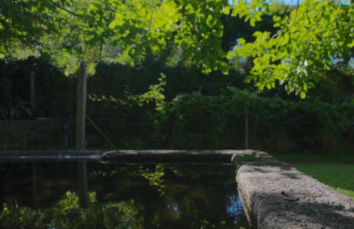 Quinta das Gerais - Foto 8