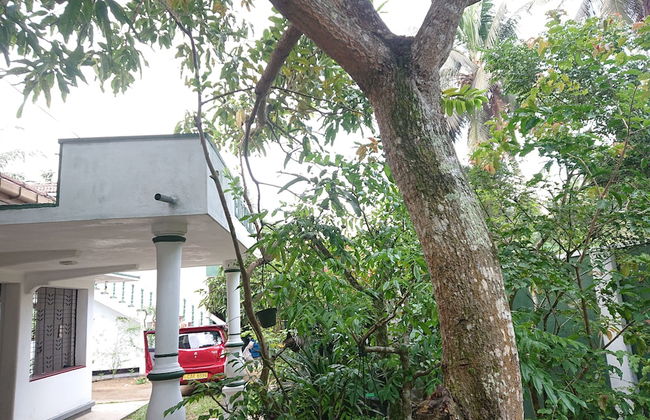 More Attractive Wonderful 1950 Mid-century Home With Another Newly Built House - Foto 24