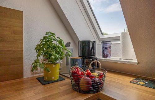 La Casa Ferienwohnung Schauinsland - Foto 18