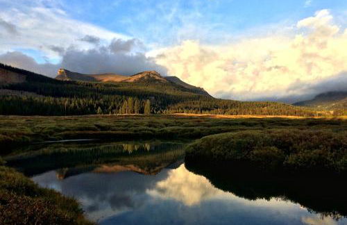 Charming Alpine Log Cabin for Family Vacation near Cora, Wyoming - Photo 10