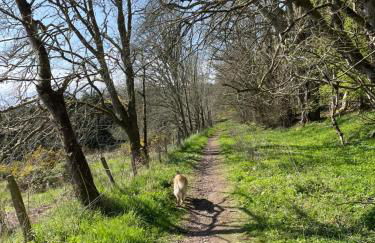 Charleston Apartment Self Catering 5 min drive from town centre - Photo 20