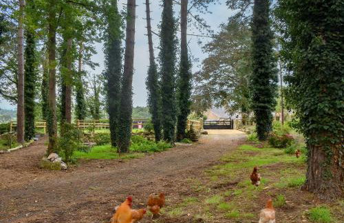 Black Lion Folly - Foto 37