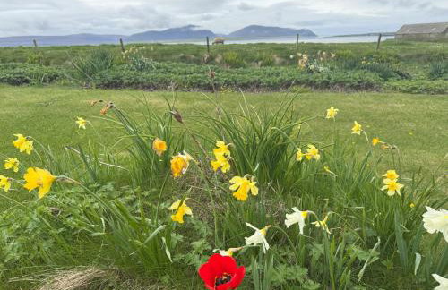 Withi-Gill - Cottage - Bay of Ireland Views - Foto 41