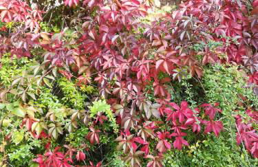 Sellin - Seedorf Am Neuensiener See Apartment 08 - Foto 54