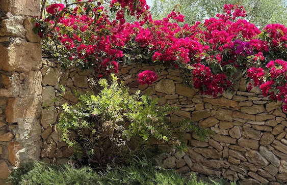 Baglio Siciliamo Country House Adult Only - Photo 31