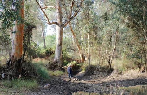 La Casa de Oti playa Mazagón vistas al mar - Foto 19