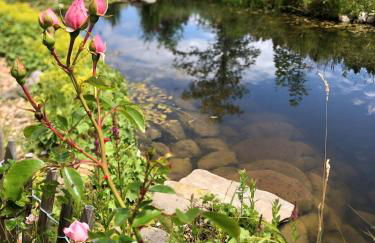 Natur- & Aktivoase - Photo 2