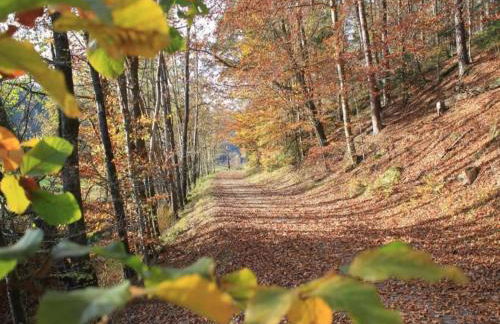 Bungalow in Waldbrunn - Foto 55