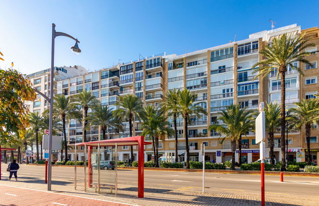 Puerto Denia - Photo 13