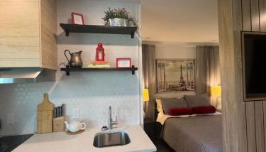 Window to Paris Studio on Lake Conroe - Foto 4