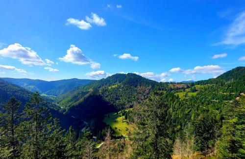 Tiny House Eulenbach - Urlaub im Gletscherkessel Präg - Foto 54