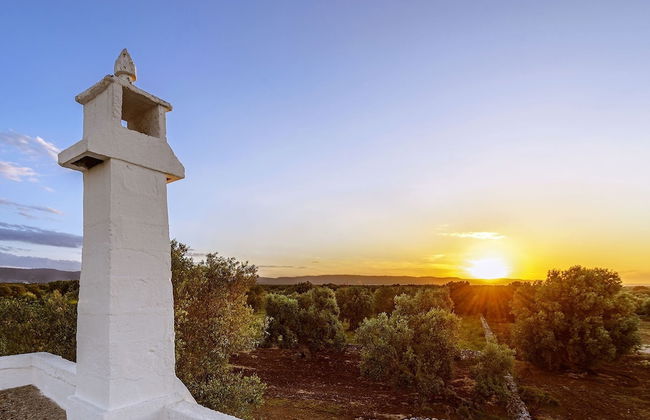 Masseria Stefanodelconte - Foto 30